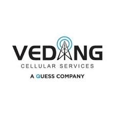 Vedang logo